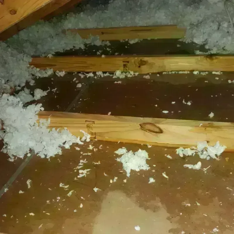 Attic Water Damage in Gregory, TX