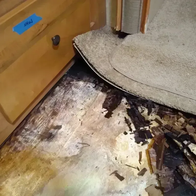 Wood Floor Water Damage in Gregory, TX